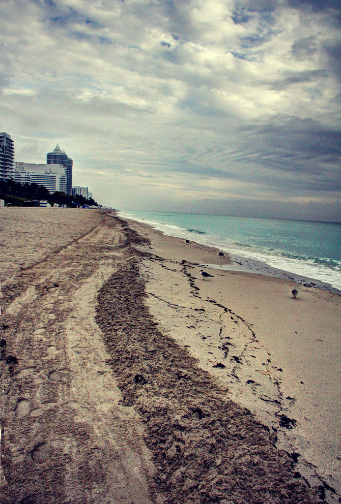 Miami Shoreline by pdulis
