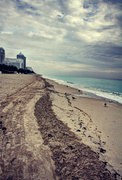 15th Mar 2014 - Miami Shoreline