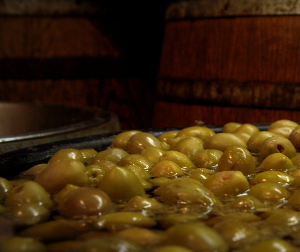 Day 74:  O is for Olive by sheilalorson