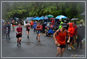 15th Mar 2014 - Tarawera Ultra Marathon