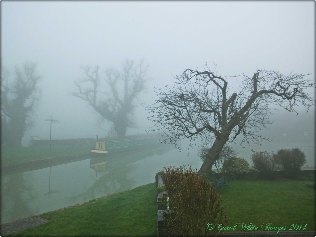 Fog On The Canal by carolmw