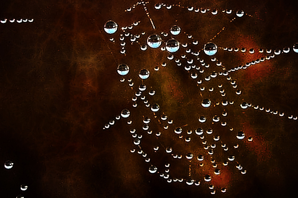 Playing with the Spider's Web by milaniet