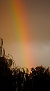 28th Sep 2010 - Rainbow