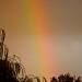 Rainbow by dora