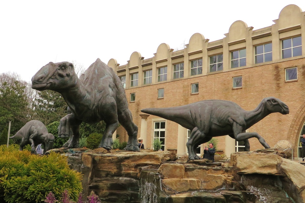Fernbank Museum of Natural History by margonaut