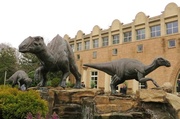 16th Mar 2014 - Fernbank Museum of Natural History
