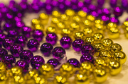 16th Mar 2014 - Purple and Gold