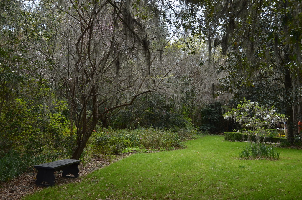 A bench for contemplation by congaree