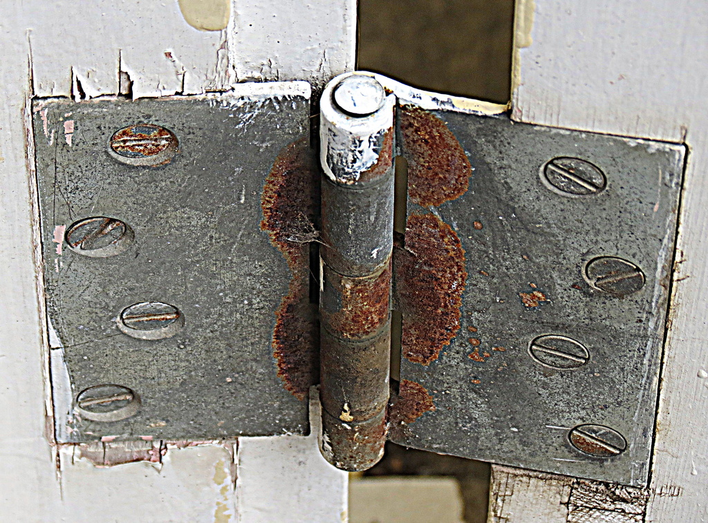 Old door hinge by kiwiflora
