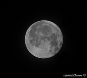 17th Mar 2014 - Full Moon 3/17/14