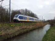 17th Mar 2014 - Berkhout - Venneweg