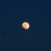 14th Mar 2014 - (Almost) full moon