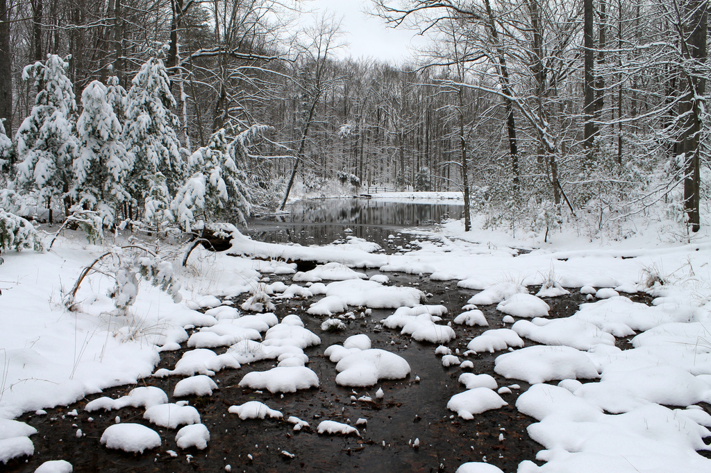 Snow Laden Carter's Pond by khawbecker
