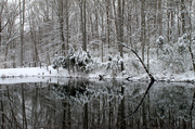 15th Mar 2014 - On Carter's Pond