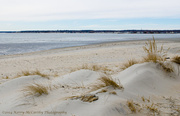 17th Mar 2014 - Sand dunes