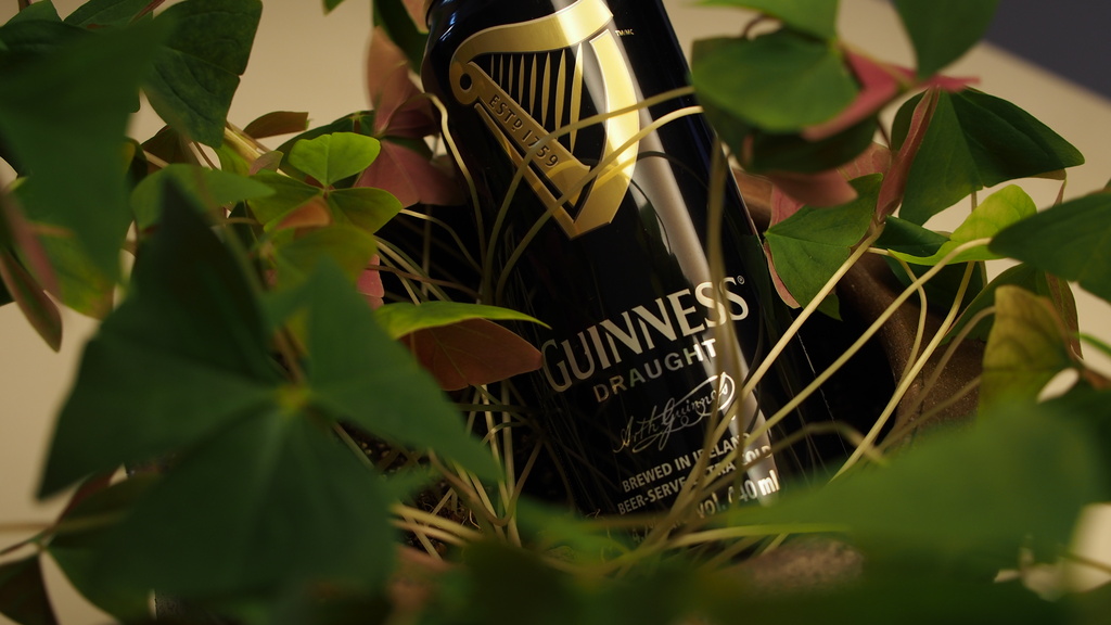 Oh Look, Guinness is Hiding in the Shamrock! by selkie