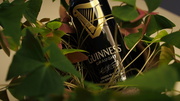 17th Mar 2014 - Oh Look, Guinness is Hiding in the Shamrock!