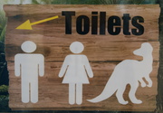 7th Mar 2014 - Toilets for all this way...