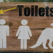 Toilets for all this way... by filsie65