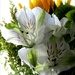March Bouquet
