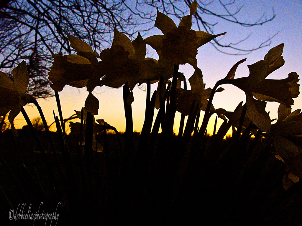 16.3.14 Sunset by stoat