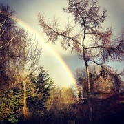 18th Mar 2014 - Rainbow over the railway