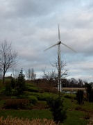 18th Mar 2014 - Mar 18: Wind (Mill)