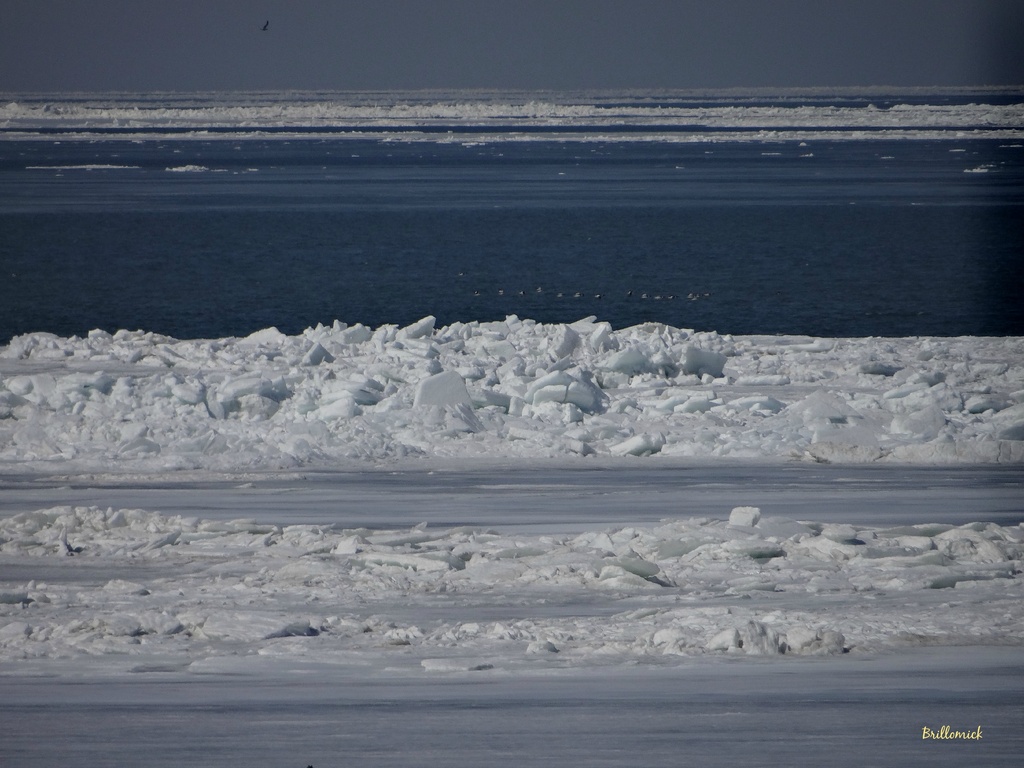 Lake Erie Ice by brillomick