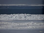 18th Mar 2014 - Lake Erie Ice