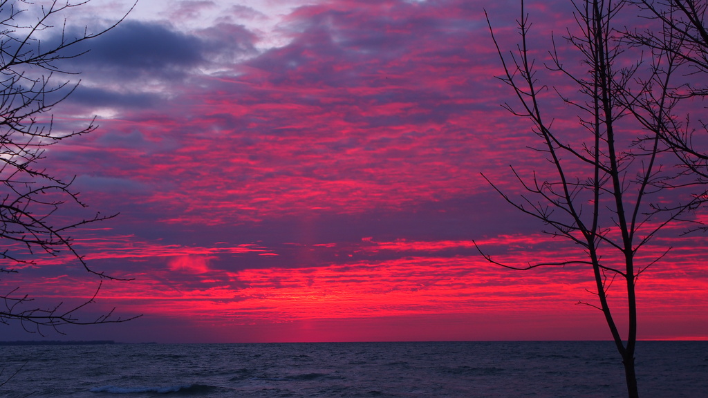 Red Sky by selkie