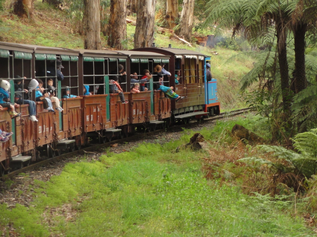 Day 2 of "Cultural weekend." Sunday at Puffing Billy by gilbertwood