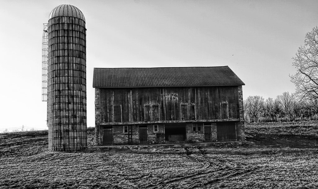 Barn In Black & White by digitalrn