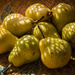 Pears by jeneurell