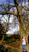 19th Mar 2014 - A walk in the woods.