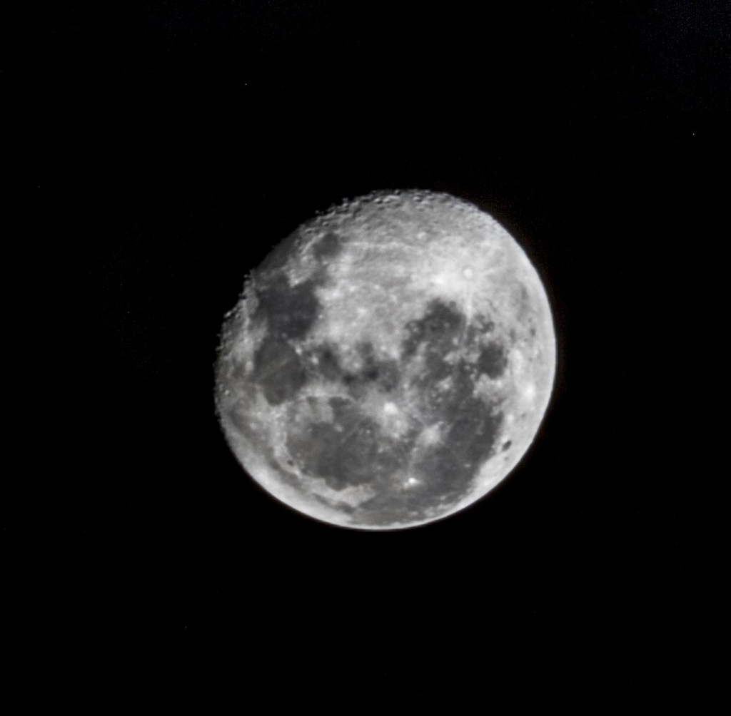I see you, Moon. by corymbia