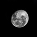 I see you, Moon. by corymbia