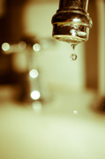 20th Mar 2014 - dripping tap