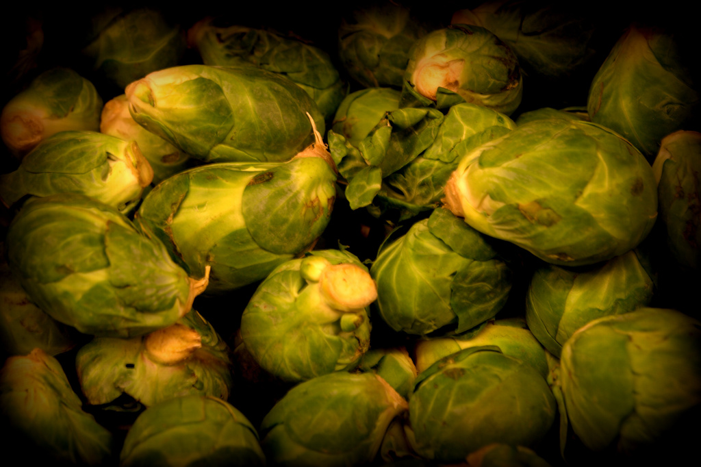 Day 78:  S is for Sprouts by sheilalorson