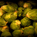 Day 78:  S is for Sprouts by sheilalorson