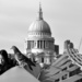 The Pigeon and St Pauls by andycoleborn