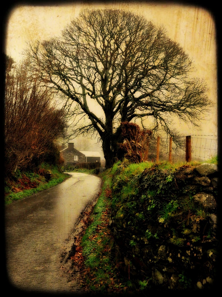 Country lane in colour by overalvandaan