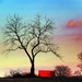 "Red Roof Inn" Between The Trees by digitalrn