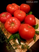 29th Sep 2010 - Tomatoes, Basil and Thyme