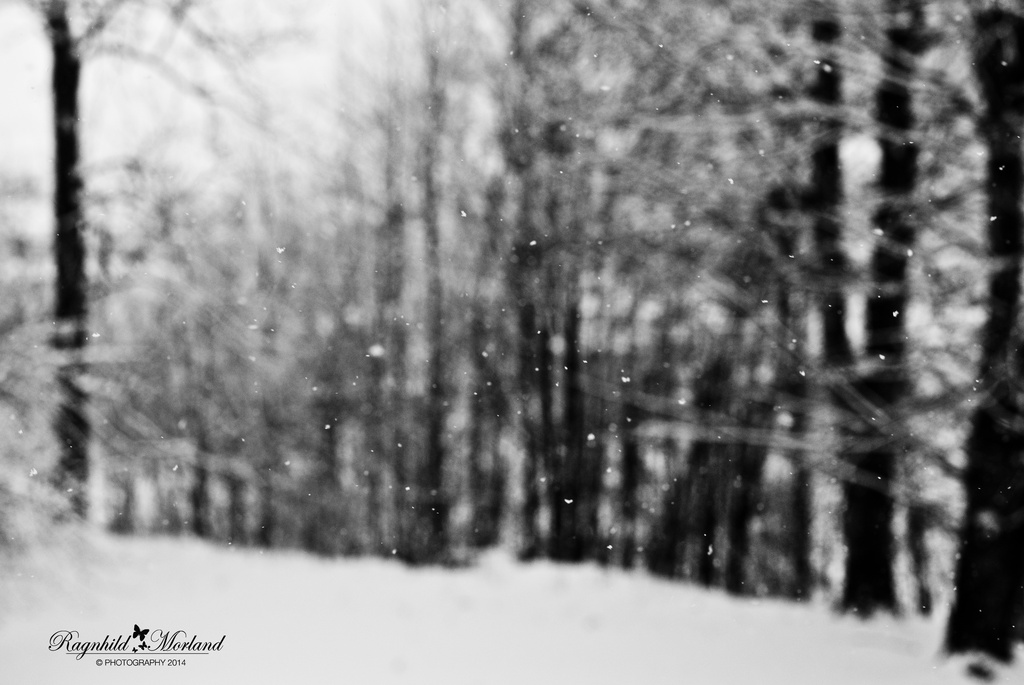 Snowing by ragnhildmorland