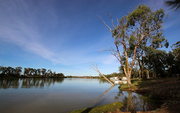 22nd Mar 2014 - Serene beauty on the River Murray