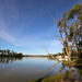 Serene beauty on the River Murray by flyrobin