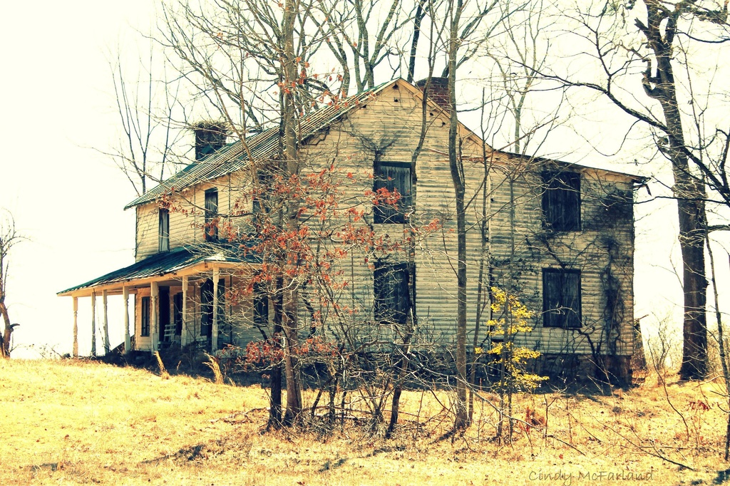 Abandonment by cindymc