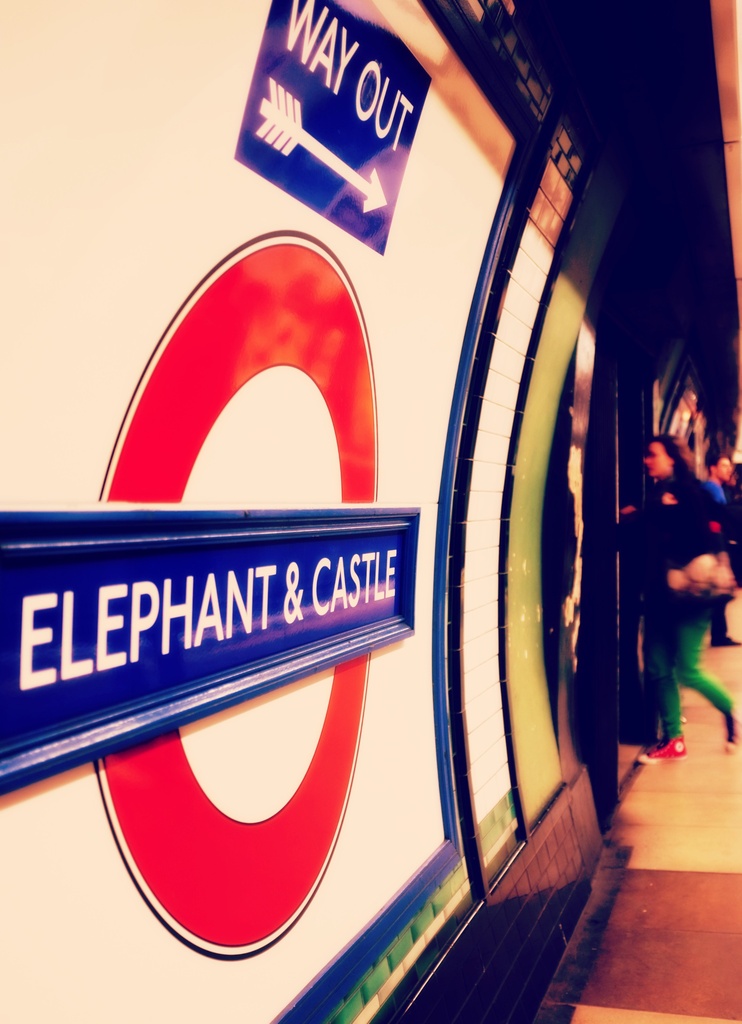 Way out at the Elephant by judithg