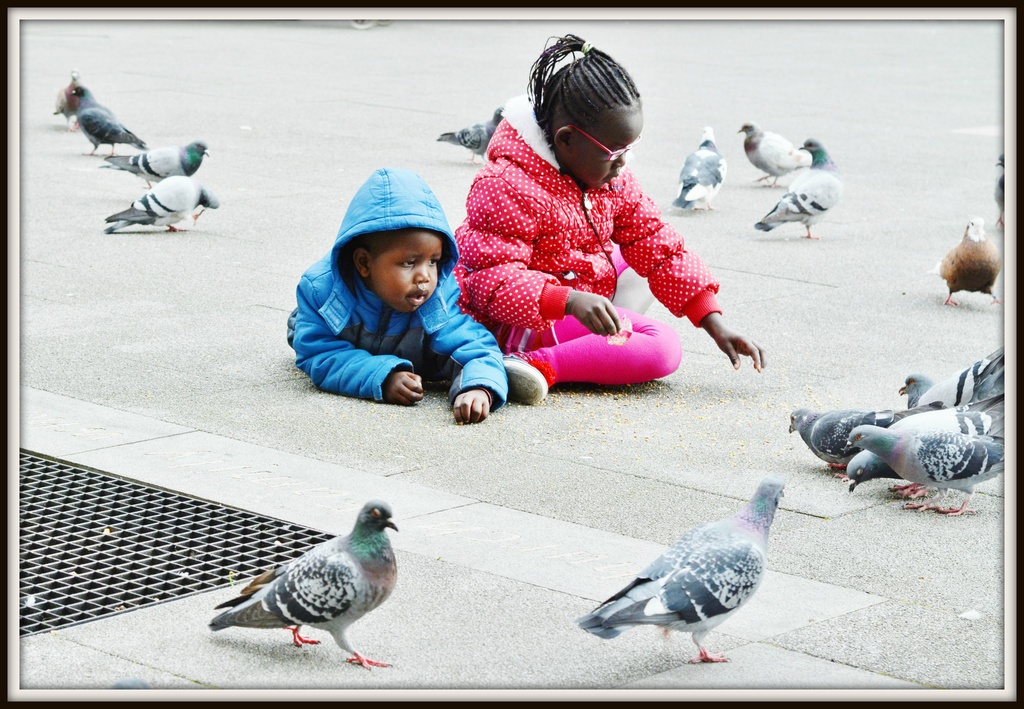 Pigeon Square by rosiekind