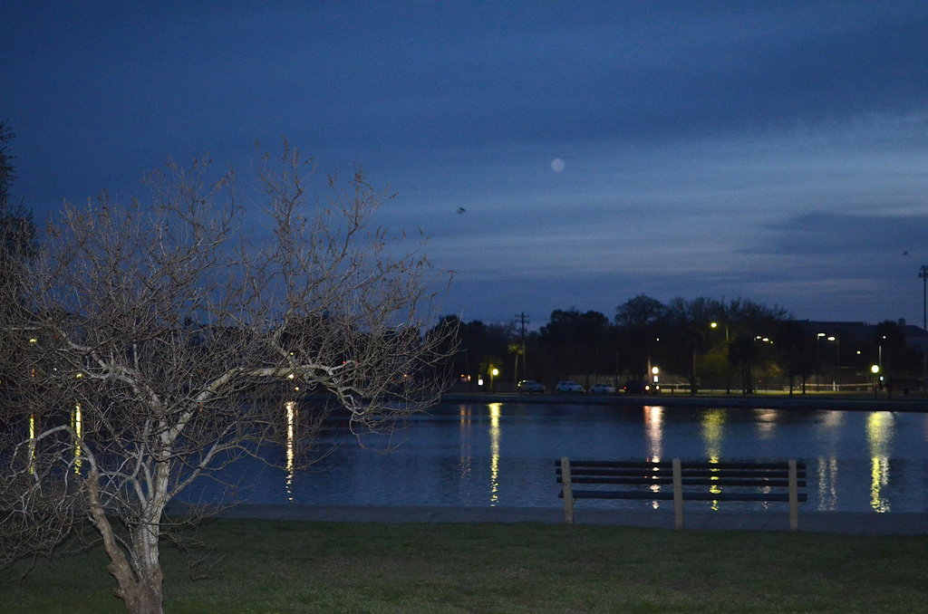 Colonial Lake, near dusk, Charleston, SC by congaree